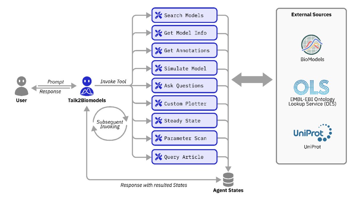 BiologyAIDaily's tweet photo. Talk2Biomodels: AI agent-based open-source LLM initiative for kinetic biological models  

1. The paper introduces Talk2Biomodels (T2B), an AI-powered, open-source platform designed to democratize access to kinetic biological models by enabling users to interact with them using natural language.  

2. Unlike traditional GUI-based modeling tools, T2B provides an agentic AI framework that supports dynamic model exploration, simulation, and analysis without requiring programming expertise.  

3. T2B integrates with the BioModels database, allowing users to seamlessly retrieve, analyze, and simulate curated systems biology models encoded in Systems Biology Markup Language (SBML).  

4. The system employs a retrieval-augmented generation (RAG) approach to ensure accurate model interpretation while minimizing hallucination, making it a reliable tool for both experts and non-experts.  

5. T2B supports diverse modeling tasks, including time-course simulations, steady-state analysis, and parameter scans, offering an interactive and flexible approach to studying biological dynamics.  

6. The platform provides access to foundational LLMs, including GPT-4o-mini and NVIDIA’s Llama-3.3-70B-Instruct, enhancing its reasoning and interpretation capabilities for biological modeling.  

7. Use cases in precision medicine, epidemiology, and systems biology highlight T2B’s potential to assist in drug discovery, pandemic modeling, and understanding emergent network properties.  

8. The study demonstrates that T2B can guide users through model-based hypothesis testing, optimizing experimental conditions and generating biological insights in a user-friendly manner.  

9. By adhering to FAIR principles (Findability, Accessibility, Interoperability, and Reusability), T2B enhances the reproducibility and accessibility of computational biology models.  

10. Future developments aim to expand T2B’s capabilities to additional modeling frameworks, improve integration with experimental data, and enhance AI-driven decision-making in biomedical research.  

@tommiandreani
💻Code: https://t.co/q0ne8RltyK  
📜Paper: https://t.co/Ok8Fb4SSip

#AIforScience #ComputationalBiology #SystemsBiology #Bioinformatics #MachineLearning