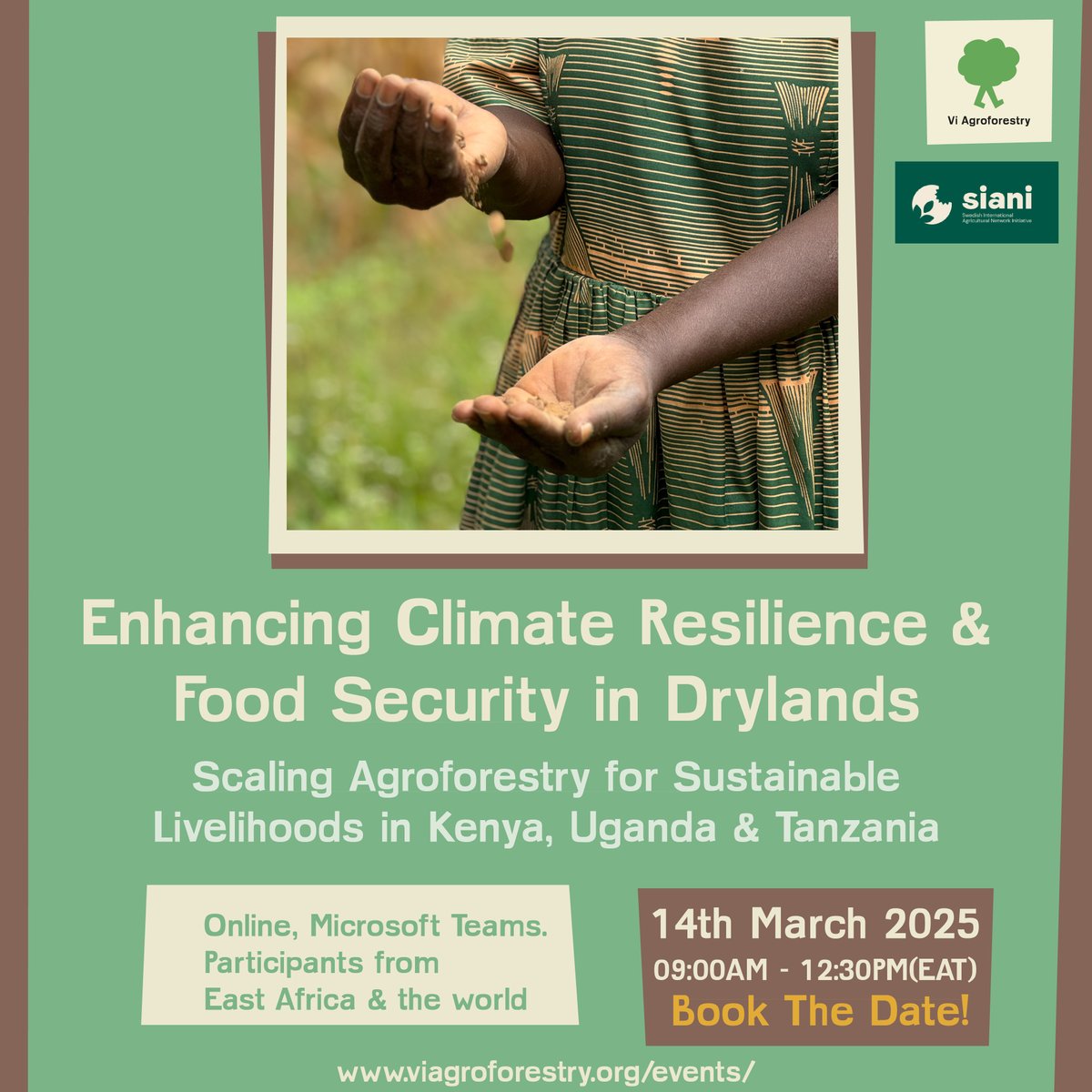 Vi Agroforestry tweet media
