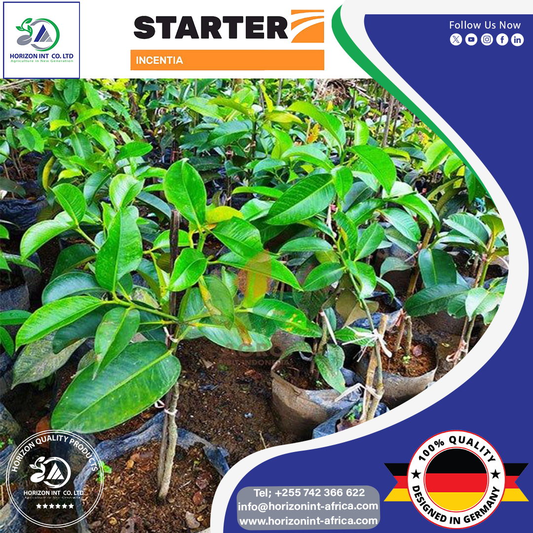 Horizon Int (@horizonl2020) on Twitter photo 