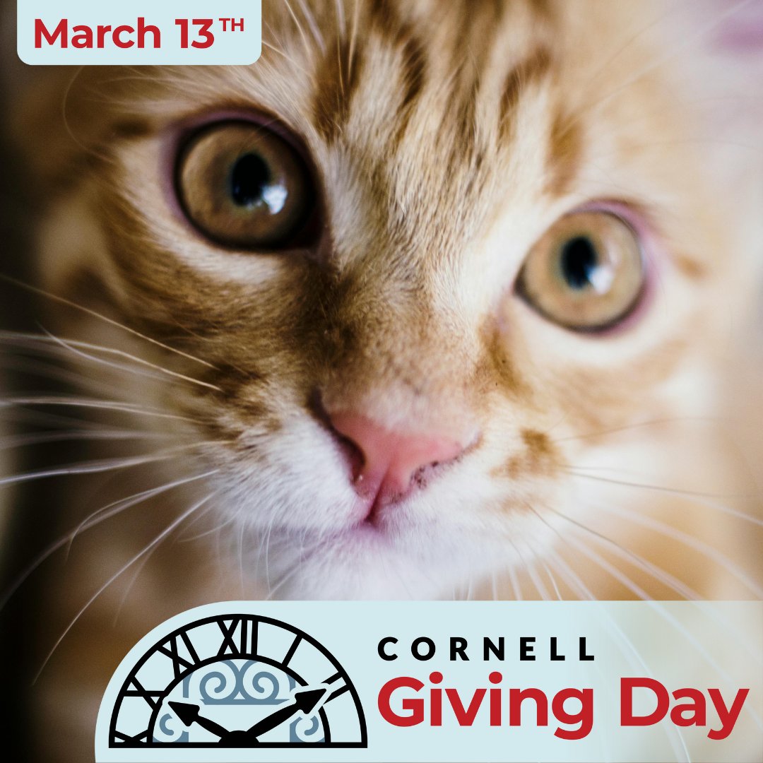 Cornell Giving Day is here! 🌎💫 Show your support for #CornellVet by making a gift of any size, to the area of Cornell you care about the most. ❤️ Every gift adds up to make a huge difference in the lives and experiences of Cornell Vet students! 🐈
givingday.cornell.edu/organizations/…