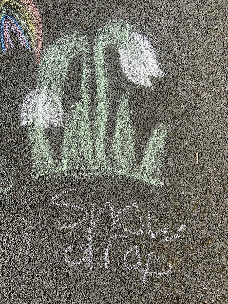 Spotted in our playground today! <a href="/UnderbankPri/">Underbank Primary</a>