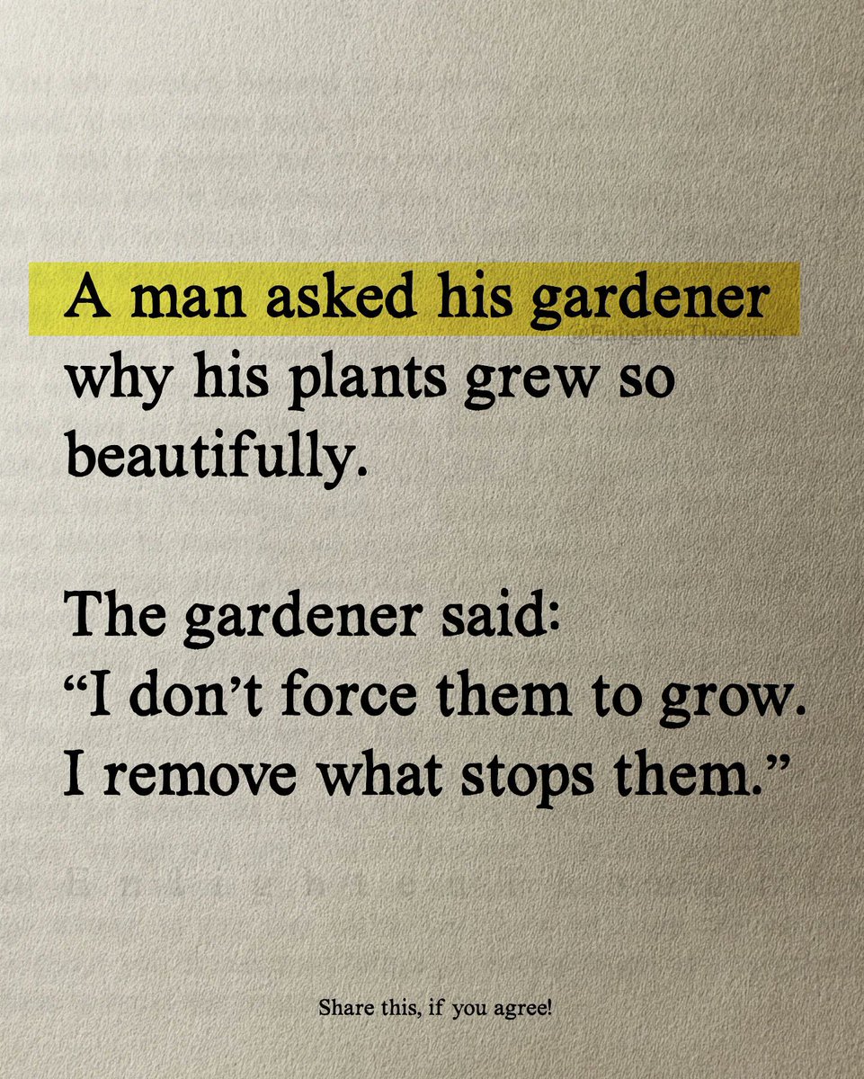 🌷🌻🌼☘️