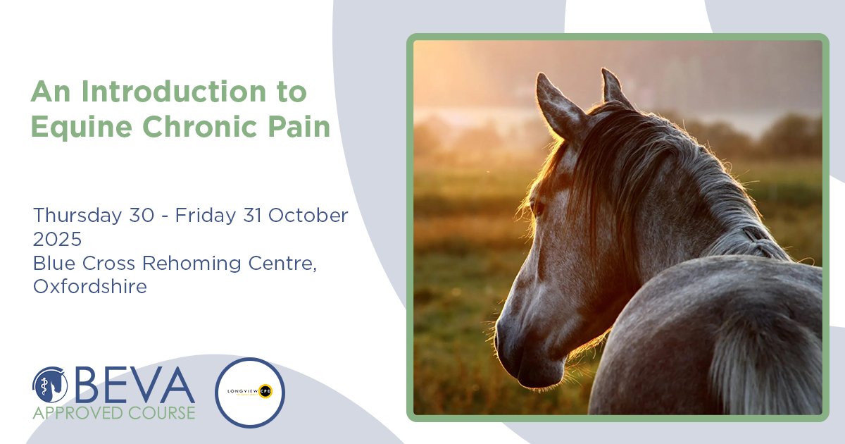 Don't miss the BEVA Approved: An Introduction to Equine Chronic Pain course!

This two-day course will explore the complexities and challenges of the equine chronic pain patient through a series of lecture, practicals and workshop sessions.

🔗 bit.ly/3Fn6yX2
