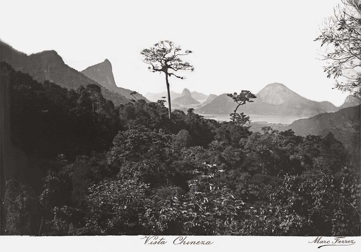“'Éden Fluminense': de área de reflorestamento no maciço da Tijuca a espaço público europeizado do Rio de Janeiro na segunda metade do século XIX", artigo na <a href="/revistaHCSM/">Revista HCSM</a> (v. 31, 2024) de biólogos da <a href="/pucriooficial/">PUC-RIO</a>. Acesse revistahcsm.coc.fiocruz.br/eden-fluminens… #florestadatijuca #natureza