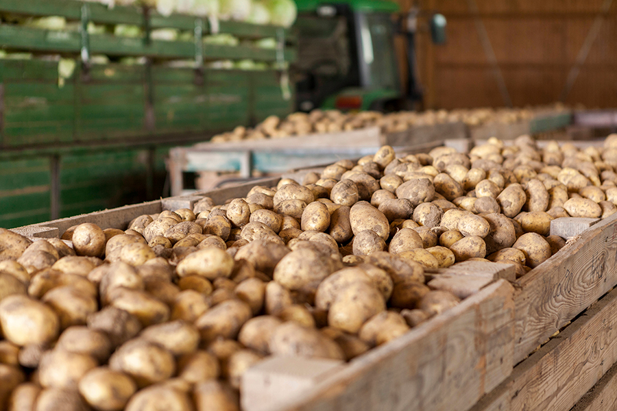 Millions of dollars in US potato exports could hang in balance of tariff tug-of-war: spudman.com/news/millions-…