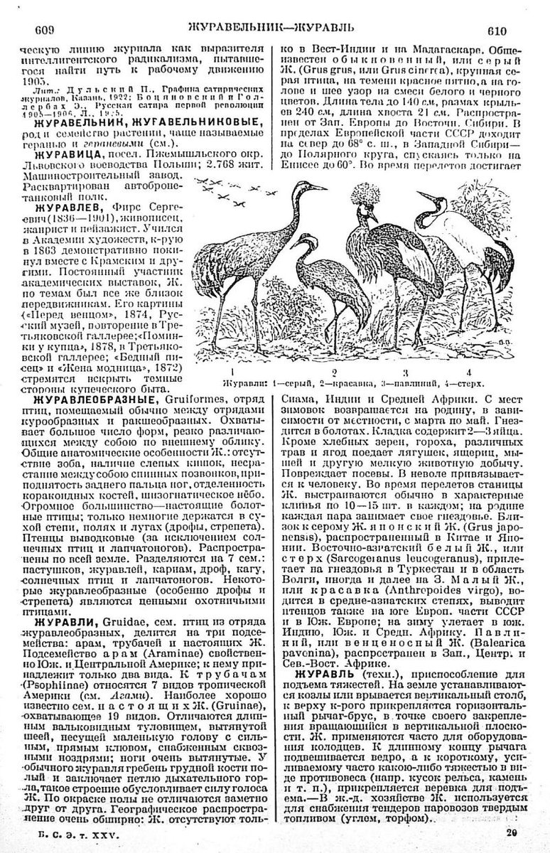 Chubby Funster tweet media