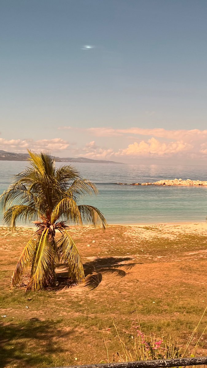 1Luv 🕸️ (@1luvcorri) on Twitter photo 