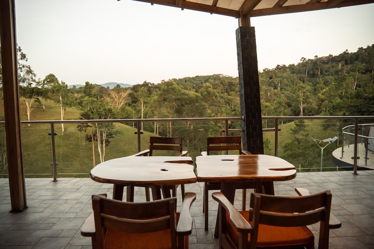 Kyangabi Crater Resort (@kyangabi_resort) on Twitter photo Perfect spot. Perfect views. Perfect weather!
A glass of wine 🍷? Or Cup of coffee ☕️
kyangabicrater.com
📸 <a href="/buskago/">Kagonyera Busingye</a>
#VisitKyangabi
#ExploreUganda Perfect spot. Perfect views. Perfect weather!
A glass of wine 🍷? Or Cup of coffee ☕️
kyangabicrater.com
📸 <a href="/buskago/">Kagonyera Busingye</a>
#VisitKyangabi
#ExploreUganda
