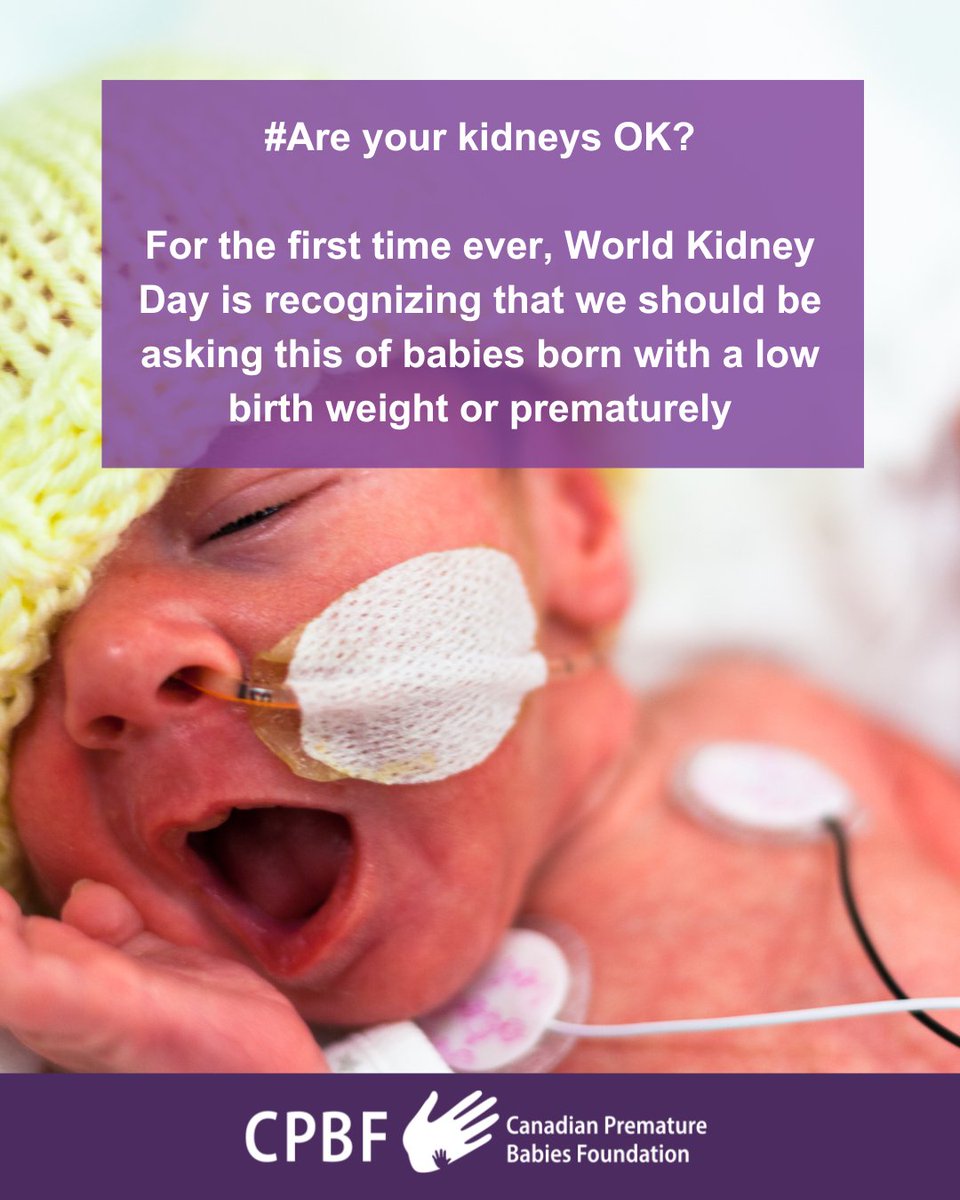 For the first time ever, World Kidney Day is recognizing that we should be asking this of babies born with a low birth weight or prematurely. 

Why should our babies be included in targeted kidney testing? Preemie babies are at higher risk for kidney dysfunction and disease and