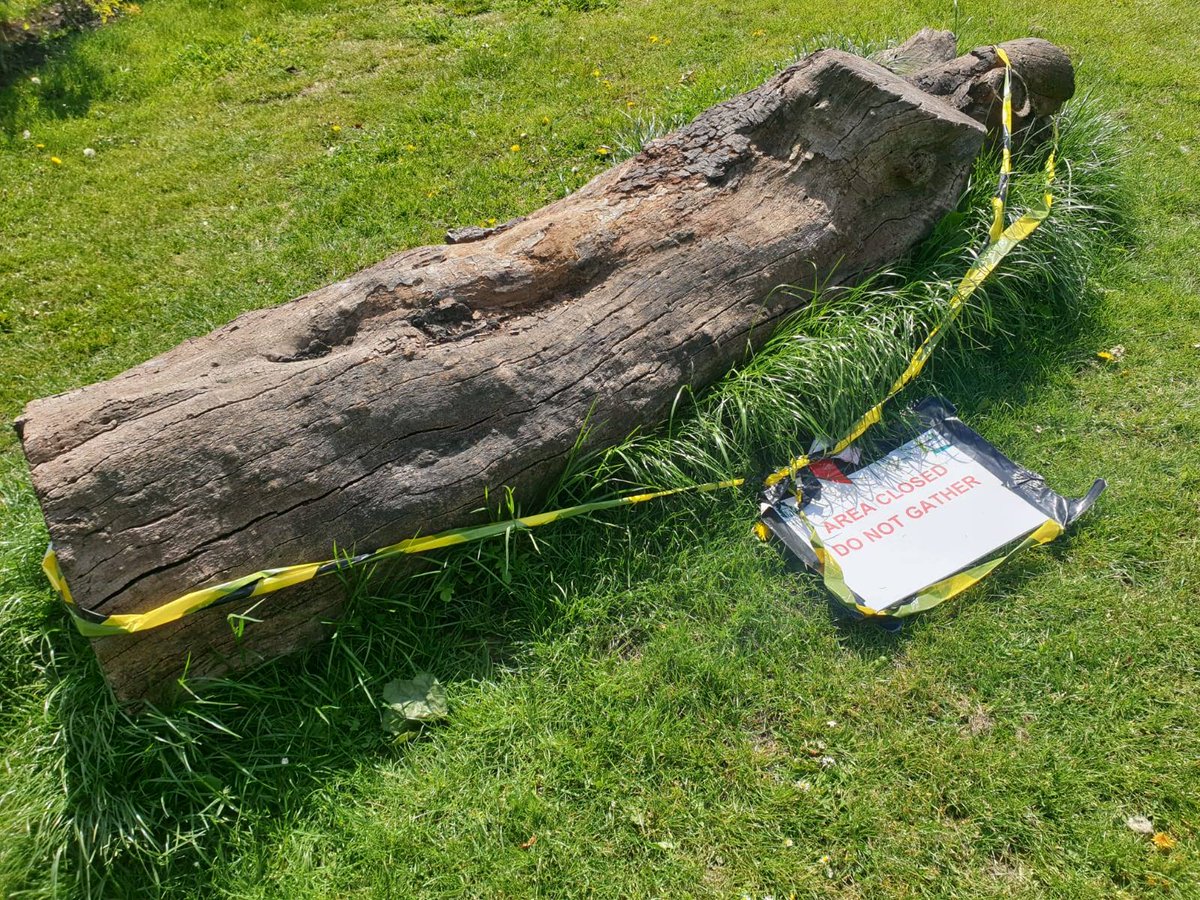 This log was taped off in case anyone wanted to sit on it x.com/BBCNews/status…