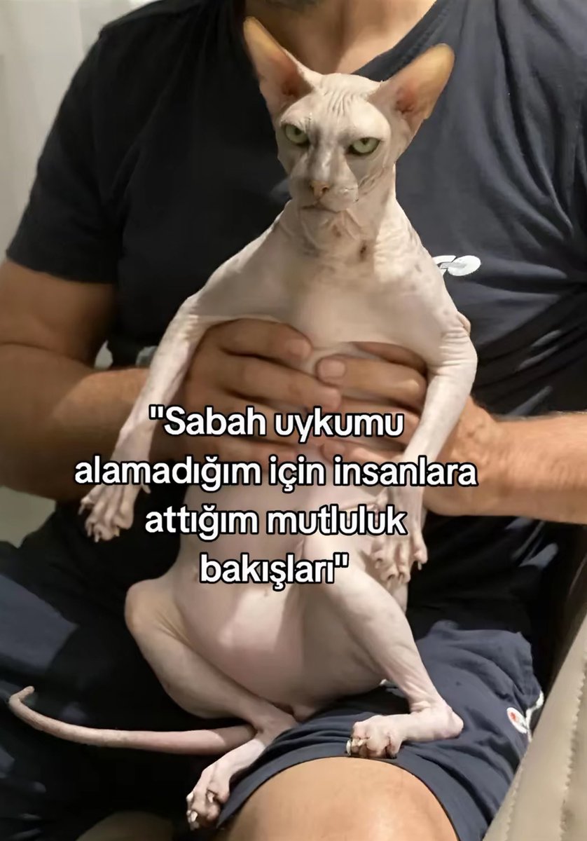 ÖZGE (@ozgeppn) on Twitter photo 