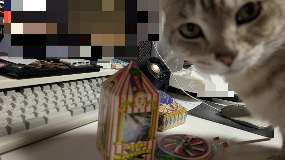 onikukanmi's tweet photo. わいさんからハリポタお菓子もらった！
カエルチョコデカい！
百味ビーンズはしっかりゲロ味とかあるらしいから食べるのが怖さ半分楽しみ半分… https://t.co/hwvtht1bZi
