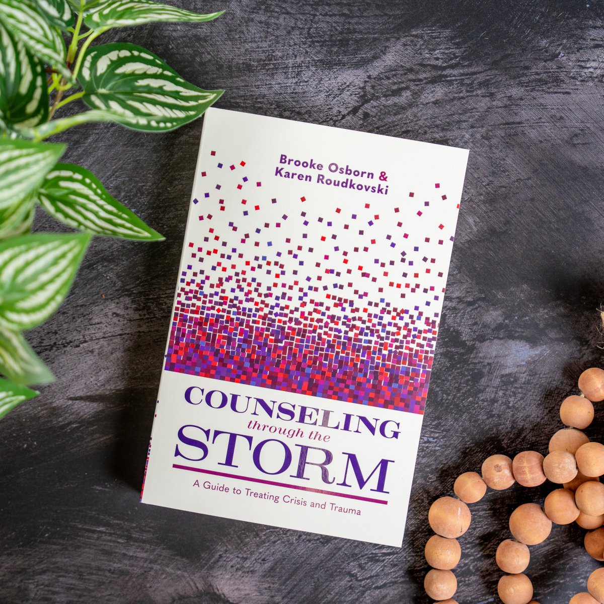 Did you know that many people suffering a crisis turn to clergy before a mental health professional? This new resource from is a necessity for those on the church front lines. 

"Counseling Through the Storm" is available June 1. Preorder your copy today!
lfwy.co/l3JT50Vhh0j
