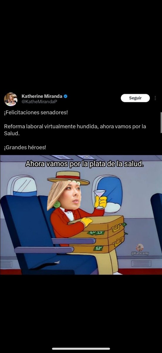 #ConsultaPopularYa #QuisieraQue personajes como ella no volvieran a tener ni un solo voto progresista,  pagaría por verla buscando votos de la derecha.