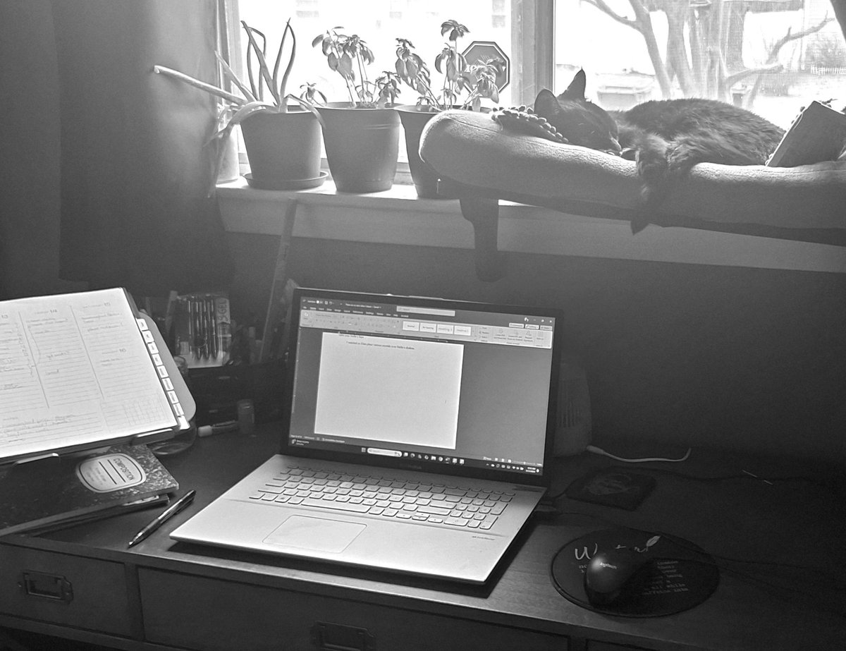 It's a cloudy day. Ninja naps over my desk, while I work on this witchy novel full of magic and desperation.✨️☕️