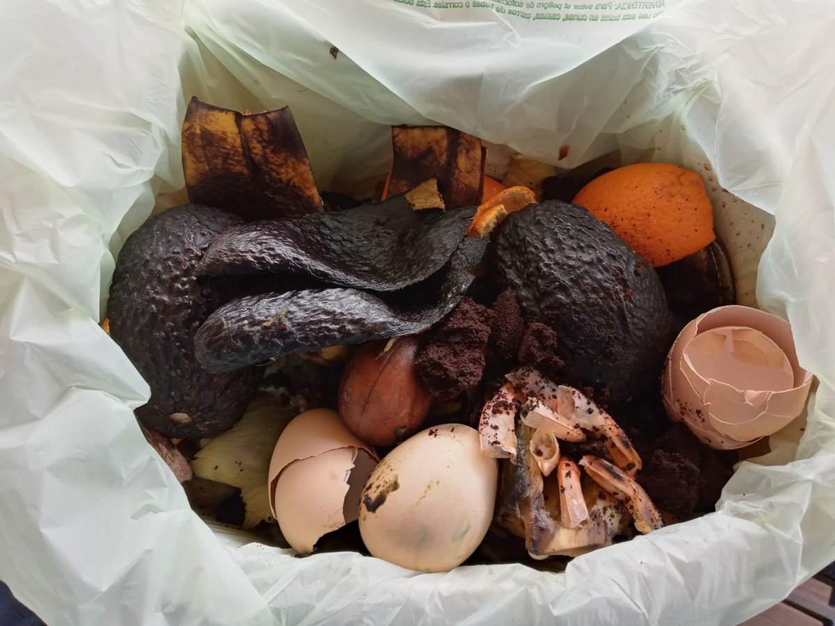 Have you seen the latest from #Oregon? House Bill 3018, which aims to reduce #FoodWaste, had its first public hearing a few weeks ago. #DateLabeling and #OrganicsRecycling are featured parts of the strategy. Learn more: loom.ly/4X86AyA