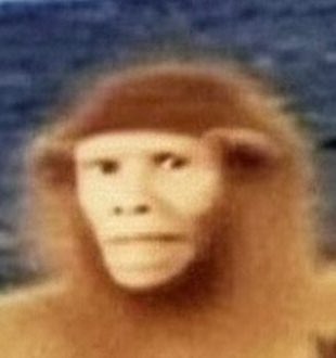 SHL0MS's tweet image. 