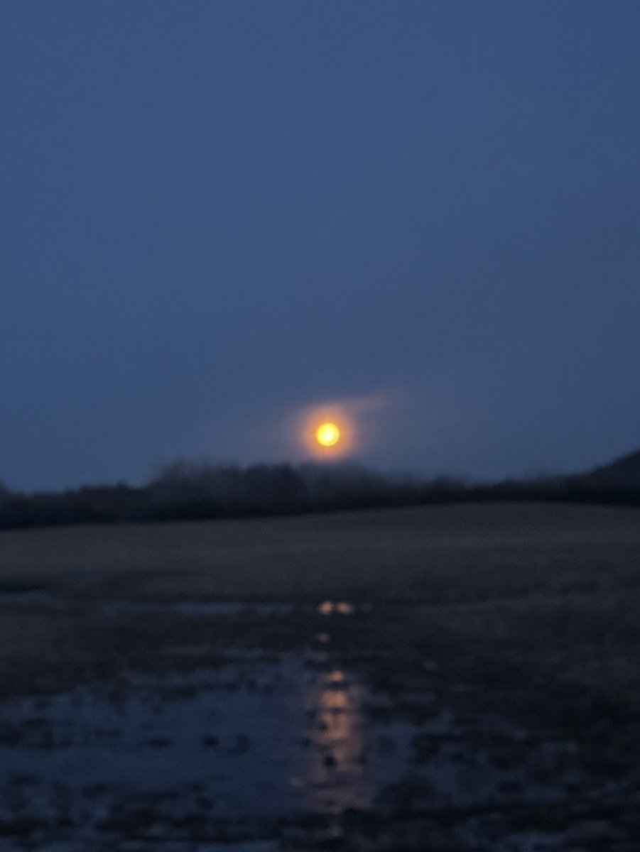 Rob Lehman (@rob_lehman) on Twitter photo 