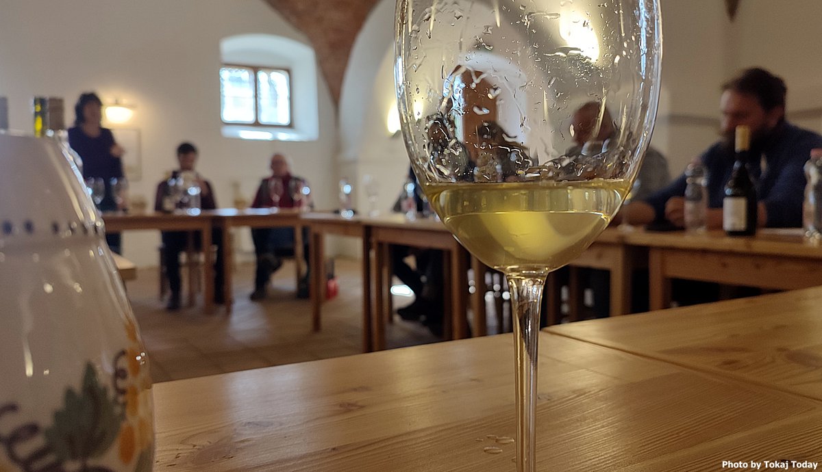 Gergely Somogyi tweet media