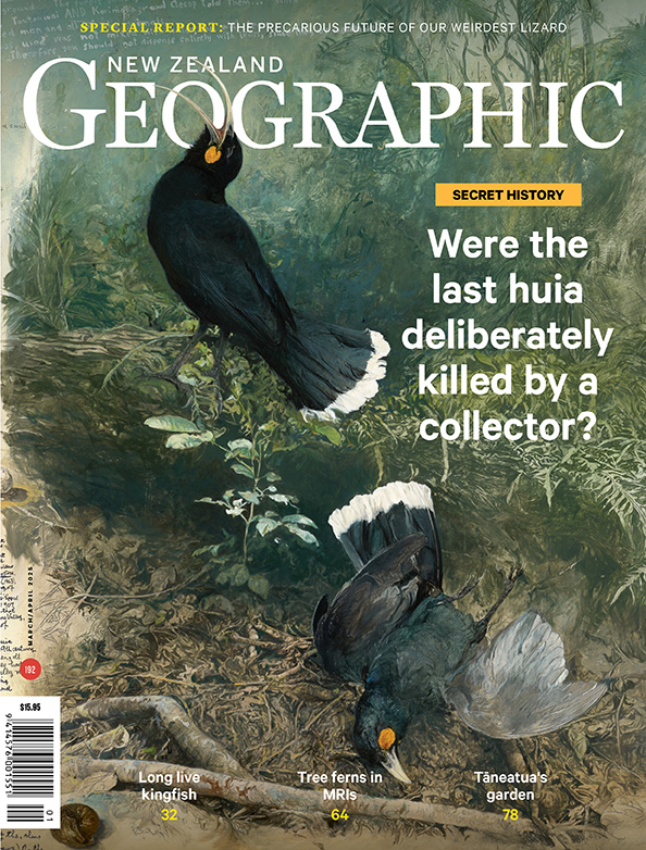 The 192nd issue of New Zealand Geographic is out in stores and online now!   In stores and online at nzgeo.com