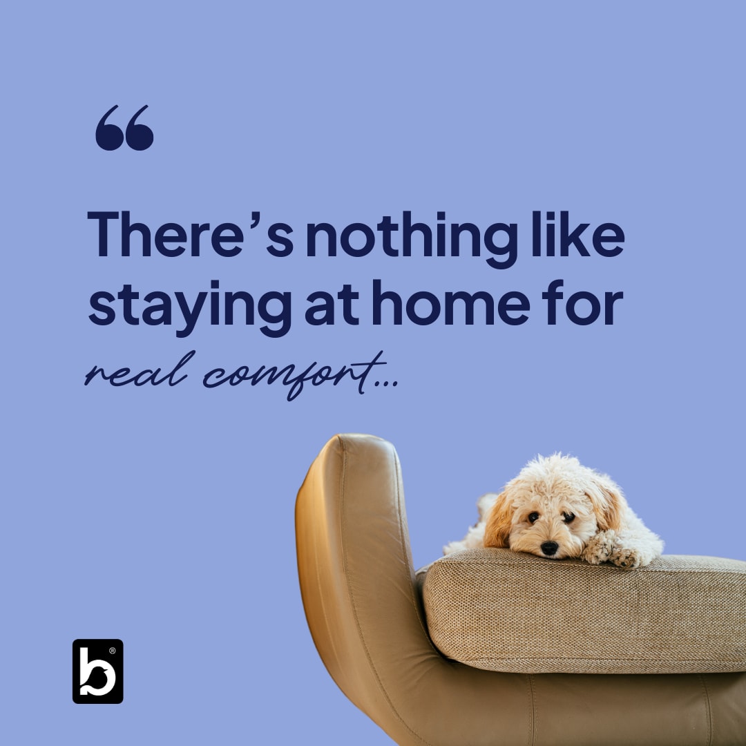 BluebirdCareWin's tweet image. The quote pictured, from Jane Austen, is a reminder that home isn’t just a place—it’s where you feel real comfort. 🏡💙

Contact us for more information on our outstanding-rated in-home care and support services.