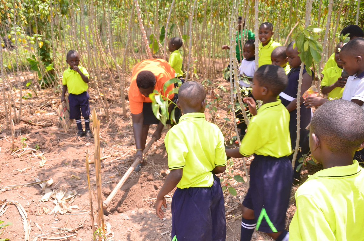We introduce to you our ambassadors of Climate Justice Club and this is Willows Nursery and Primary School @willowsschoolug Encouraging kids to plant trees is a powerful way to nurture both our planet and their future.