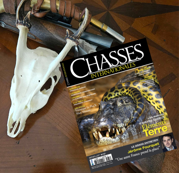 Denis Plat (@platdenis) on Twitter photo Sortie du dernier numéro de <a href="/ChassesInterna1/">Chasses Internationales</a>
Voyages, actualité, livres, interviews, art...
Toute la #Chasse , toutes les chasses.
boutiquelariviere.fr/magazine/chass…
#chasseurs
#ruralité
#IlsSachentNousChassons Sortie du dernier numéro de <a href="/ChassesInterna1/">Chasses Internationales</a>
Voyages, actualité, livres, interviews, art...
Toute la #Chasse , toutes les chasses.
boutiquelariviere.fr/magazine/chass…
#chasseurs
#ruralité
#IlsSachentNousChassons