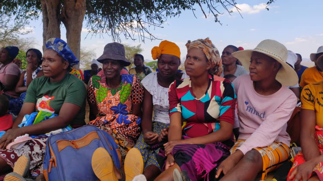 The Environmentalist tweet media