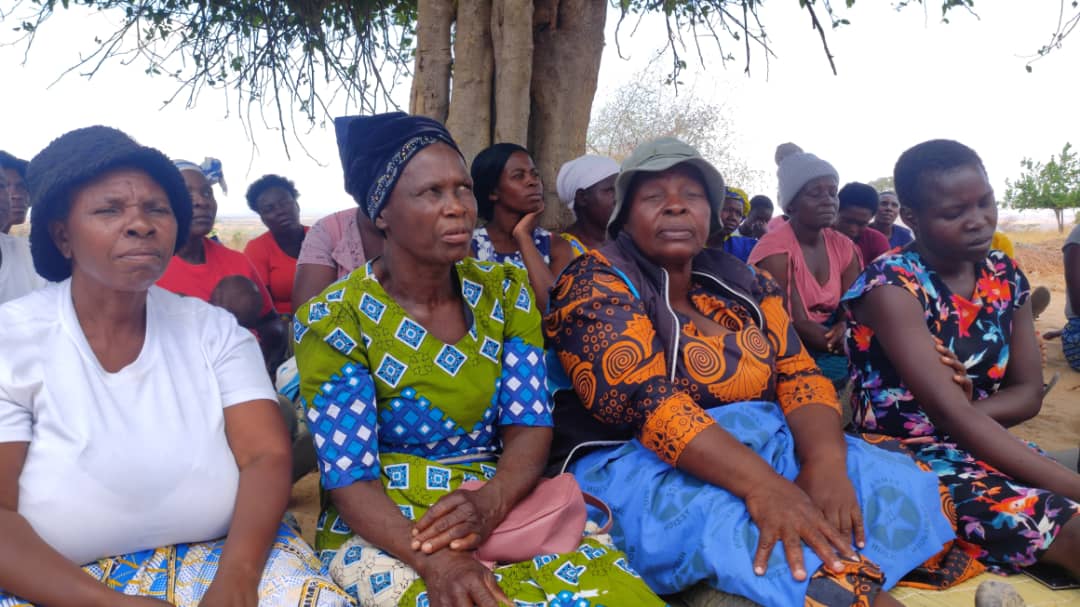 The Environmentalist tweet media