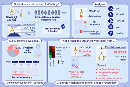CRUKCOLcentre (@crukcolcentre) on Twitter photo Congratulations <a href="/SophiaKaragiann/">Sophia Karagiannis</a> and colleagues on this paper, looking at urticarial skin responses to MOv18 immunoglobulin antibody, the first-in-class IgE recognising the cancer antigen folate receptor alpha (FRα). Proud to have supported this work. bit.ly/3FCWKrI Congratulations <a href="/SophiaKaragiann/">Sophia Karagiannis</a> and colleagues on this paper, looking at urticarial skin responses to MOv18 immunoglobulin antibody, the first-in-class IgE recognising the cancer antigen folate receptor alpha (FRα). Proud to have supported this work. bit.ly/3FCWKrI