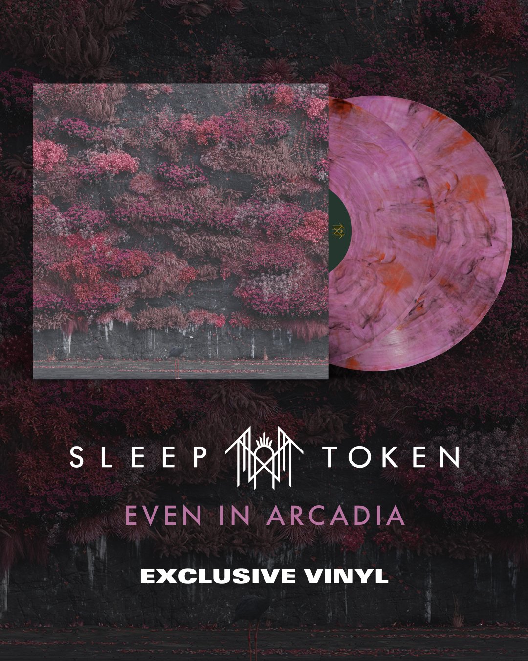 altpress on X: 