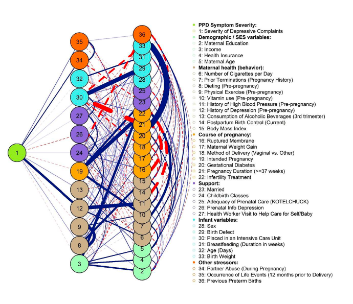 1/3 I think this is a nice use case for cross-sectional network analysis today: to get a very basic idea of the nomological network of your target construct.
Here we look at biopsychosocial risk &amp; resilience for postpartum depression in 57,518 women.
osf.io/preprints/psya…