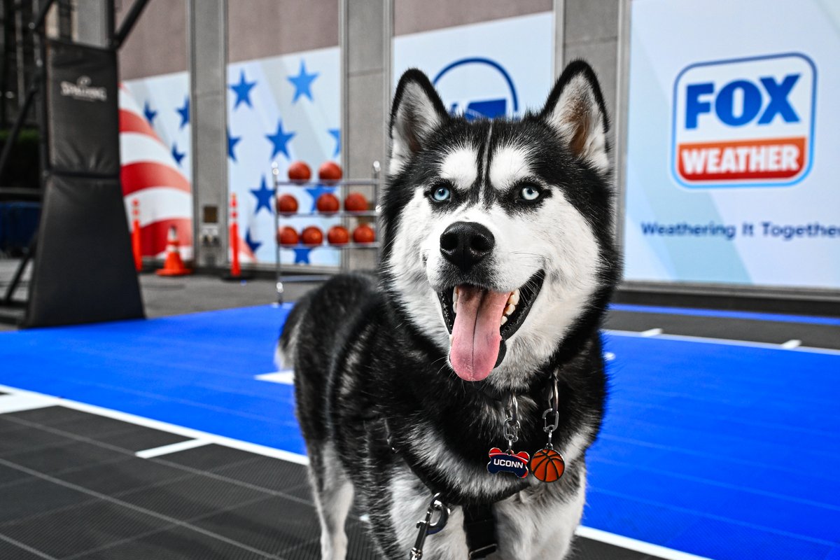 UConn Huskies tweet media