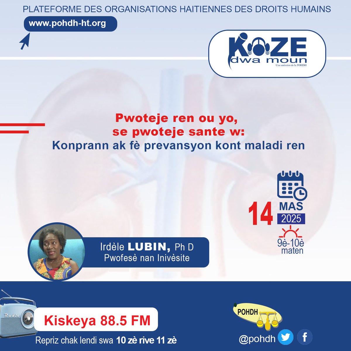 Branche emisyon Koze dwa moun pou jwenn enfomasyon sou jan pou fè prevansyon kont maladi ren.
#pohdh
#dwalasante
#maladiren
#Prevansyon