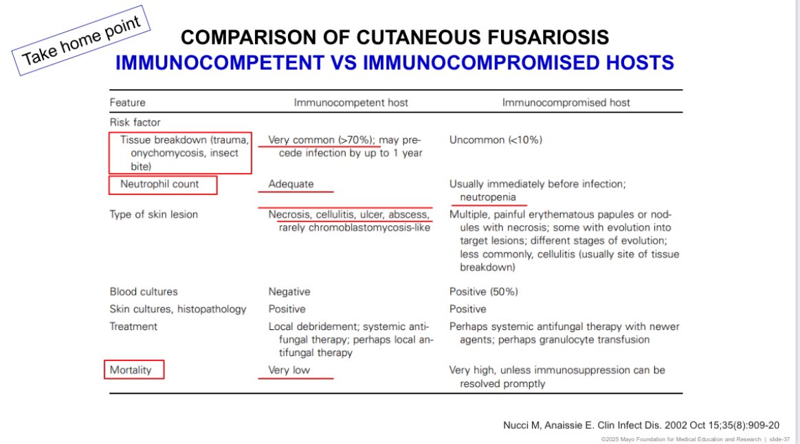 Takahiro Matsuo (Taka), MD (@takamatsuo_id) on Twitter photo 【Trauma related fungal infection】
With tremendous support from <a href="/MayoClinicINFD/">Mayo Clinic Infectious Diseases</a> #OrthoID faculty, I delivered the Grand Rounds with <a href="/Stevens_AK/">Ryan Stevens</a> and Portia @mayolab today!
<a href="/MayoClinicINFD/">Mayo Clinic Infectious Diseases</a> <a href="/MayoClinicPath/">Mayo Clinic Pathology</a> <a href="/MSISorg/">Musculoskeletal Infection Society</a> <a href="/EBJIS_/">European Bone and Joint Infection Society (EBJIS)</a> <a href="/MSG_ERC/">MSGERC</a> <a href="/RazonableMD/">Raymund Razonable</a> <a href="/ElenaBeamMD/">Elena Beam</a> <a href="/pascalisID/">Pascalis Vergidis MD, MSc</a> 【Trauma related fungal infection】
With tremendous support from <a href="/MayoClinicINFD/">Mayo Clinic Infectious Diseases</a> #OrthoID faculty, I delivered the Grand Rounds with <a href="/Stevens_AK/">Ryan Stevens</a> and Portia @mayolab today!
<a href="/MayoClinicINFD/">Mayo Clinic Infectious Diseases</a> <a href="/MayoClinicPath/">Mayo Clinic Pathology</a> <a href="/MSISorg/">Musculoskeletal Infection Society</a> <a href="/EBJIS_/">European Bone and Joint Infection Society (EBJIS)</a> <a href="/MSG_ERC/">MSGERC</a> <a href="/RazonableMD/">Raymund Razonable</a> <a href="/ElenaBeamMD/">Elena Beam</a> <a href="/pascalisID/">Pascalis Vergidis MD, MSc</a>
