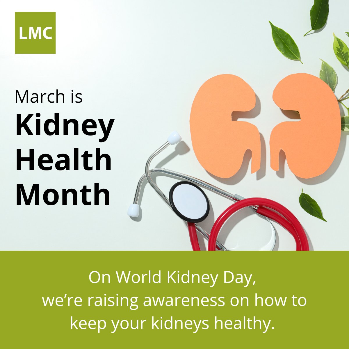 lmchealthcare's tweet photo. Did you know? About 30 percent of people with Type 1 diabetes and 10 to 40 percent of those with Type 2 diabetes eventually will suffer from kidney failure. Stay hydrated, manage your blood sugar, and get regular check-ups! #WorldKidneyDay https://t.co/mXmyQmrBhN