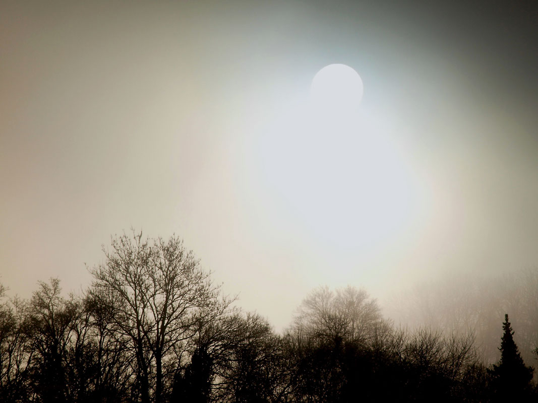 Ein Mensch mit Frieden in der Seele ist wie eine Sonne im Haus, die Nebel und Wolken aufzehrt. 
Albert Schweitzer