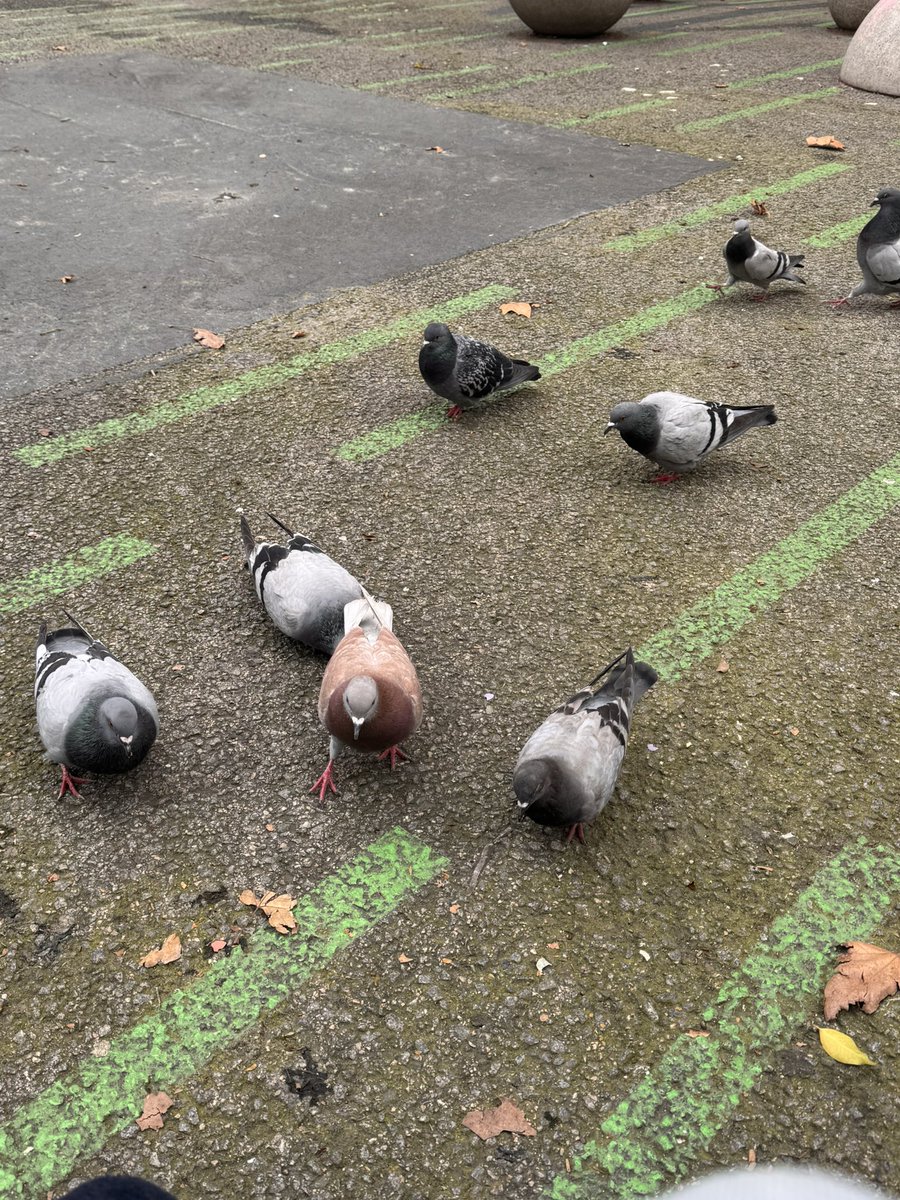 LIV Morgan tweet media