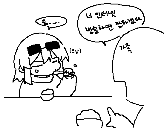 스트리머(인터넷방송)에 관한 이모저모 