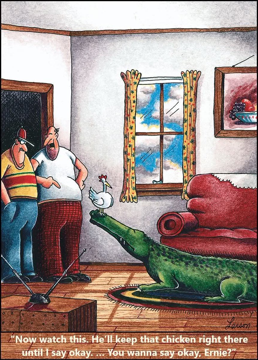 AlligatorRobb's tweet image. 