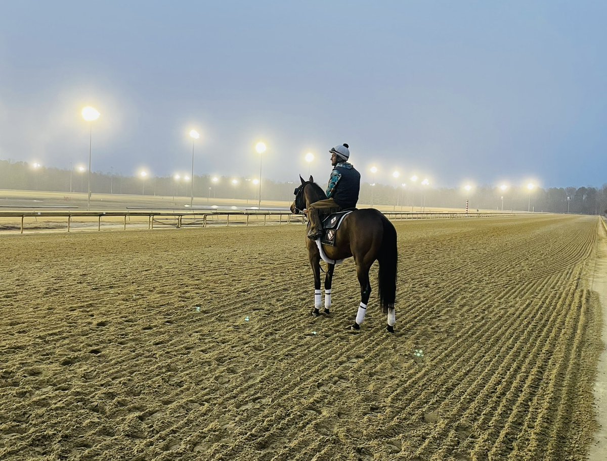 SimmsJrRacing1's tweet image. Taking it all in… @ColonialDowns
