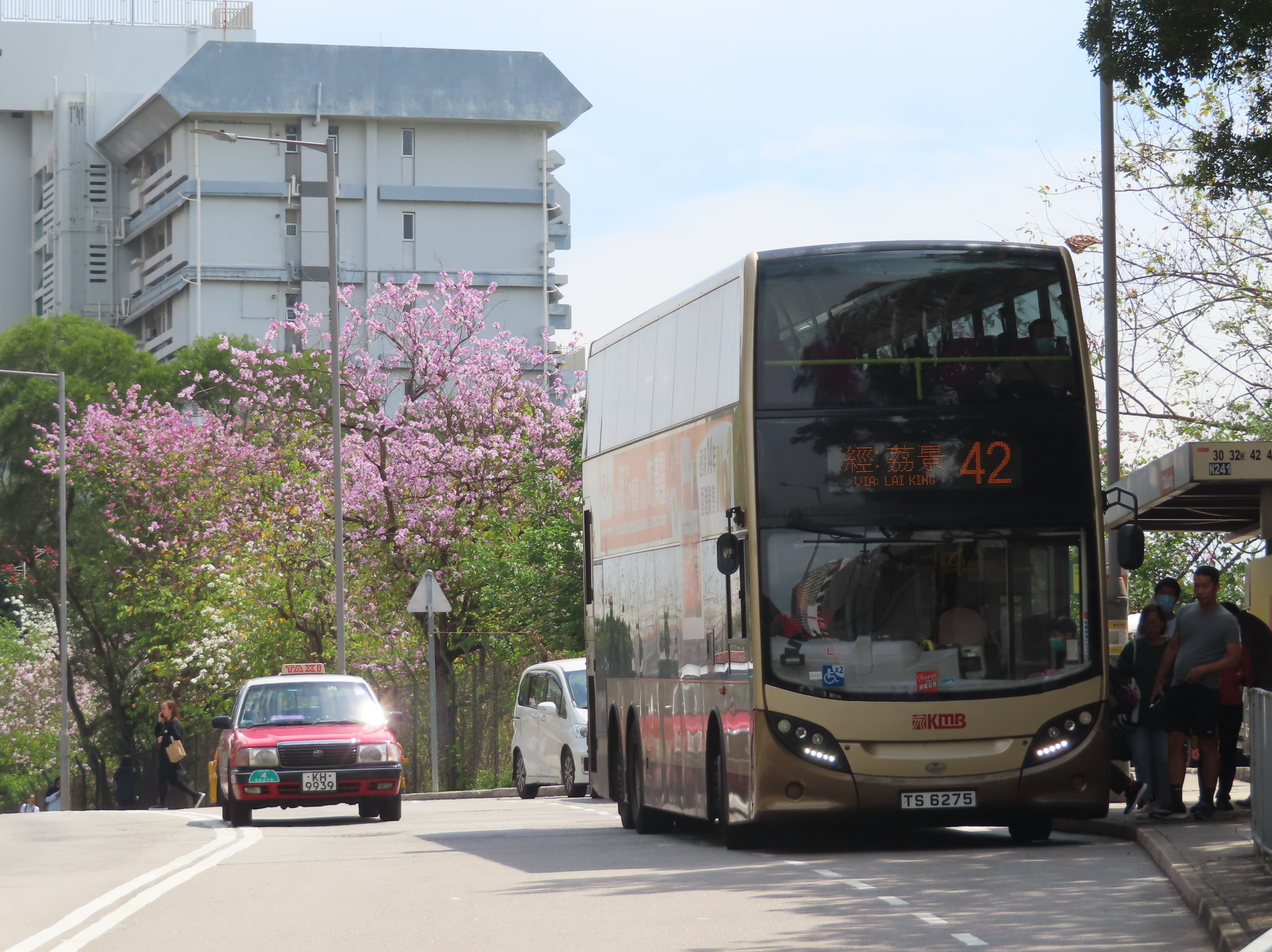 圖檔