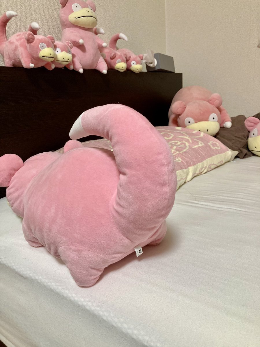 yado_yadochi's tweet photo. やどけつ
なんでこんなにかわいいんだろうやぁーん
𐋋 פ⚆͡꤮̤⚆פ💕 https://t.co/HcXhUDQUYy