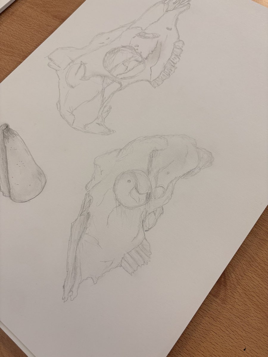 2nd years practising some observational drawing skills ✏️ <a href="/moylepark/">Moyle Park College</a> #PractiseMakesPerfect #Creativity