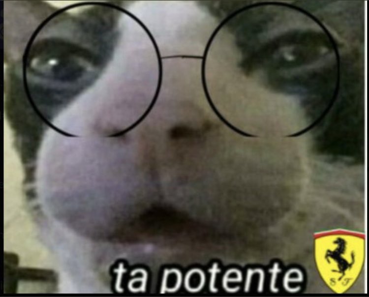raissaferrari's tweet photo. @PortalFerrariBR https://t.co/Jlvv5KwzyA