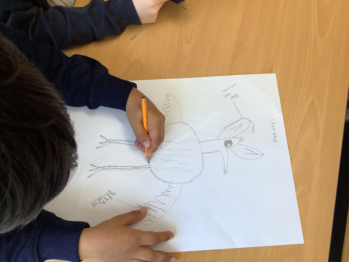 StiffordSWECET's tweet photo. Today, year 4 celebrated British Science Week by learning  about animal adaptation. We used this to design our own creature for  a specific  environment. https://t.co/t08KQFSzlM