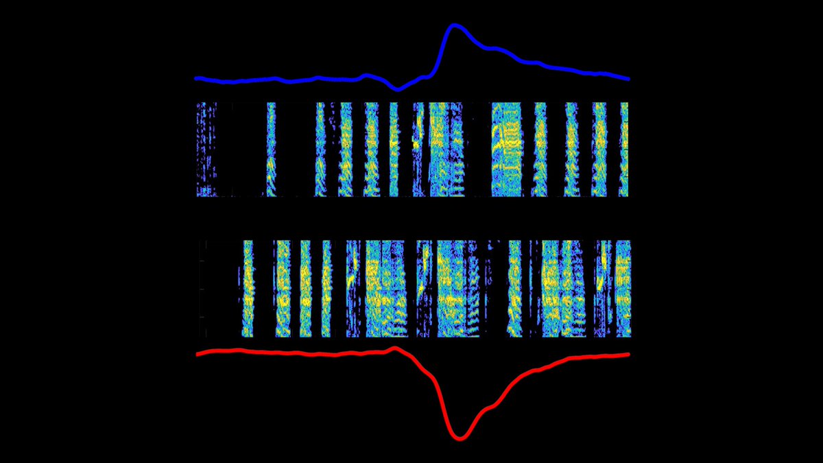 Columbia University's Zuckerman Institute (@zuckermanbrain) on Twitter photo <a href="/VikramGadagkar/">Vikram Gadagkar</a>, <a href="/neuro_kim/">Kim Stachenfeld (neurokim.bsky.social)</a>, @jonathankasdin and colleagues witnessed the role the brain’s reward machinery plays as the brain naturally learns over time through practice. Learn more!
zuckermaninstitute.columbia.edu/songbirds-high… #neuroscience
@nature @googledeepmind @columbia <a href="/VikramGadagkar/">Vikram Gadagkar</a>, <a href="/neuro_kim/">Kim Stachenfeld (neurokim.bsky.social)</a>, @jonathankasdin and colleagues witnessed the role the brain’s reward machinery plays as the brain naturally learns over time through practice. Learn more!
zuckermaninstitute.columbia.edu/songbirds-high… #neuroscience
@nature @googledeepmind @columbia