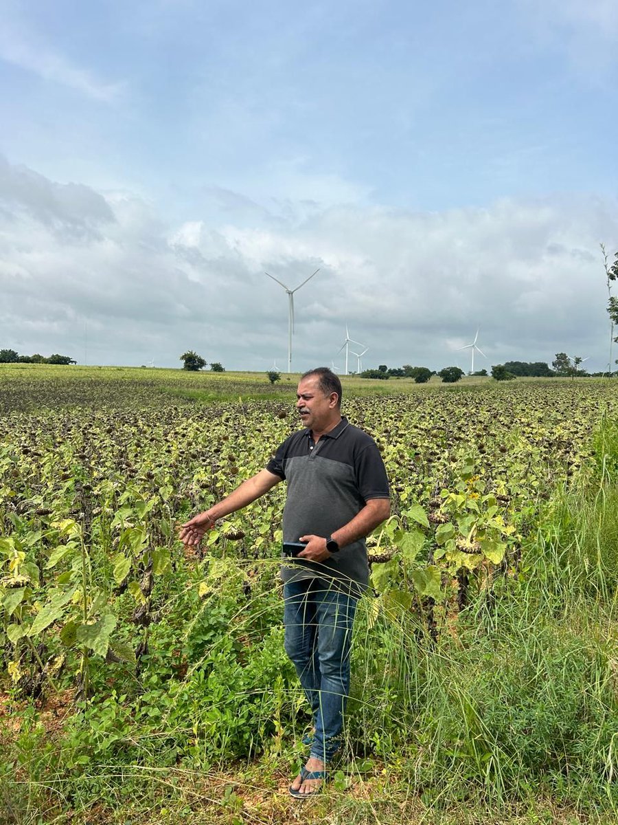 Boomitra tweet media