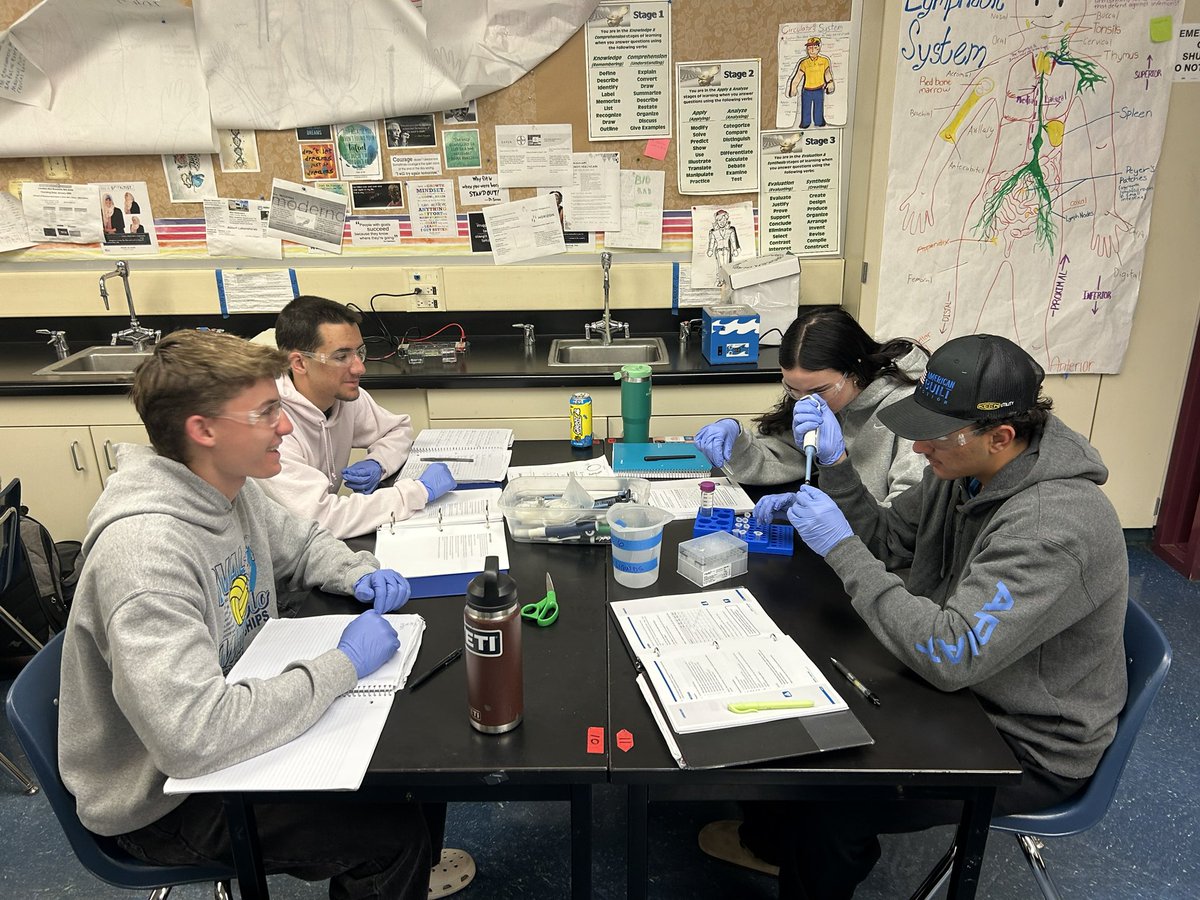 Biotech making things glow!!!  Go Falcons!!!