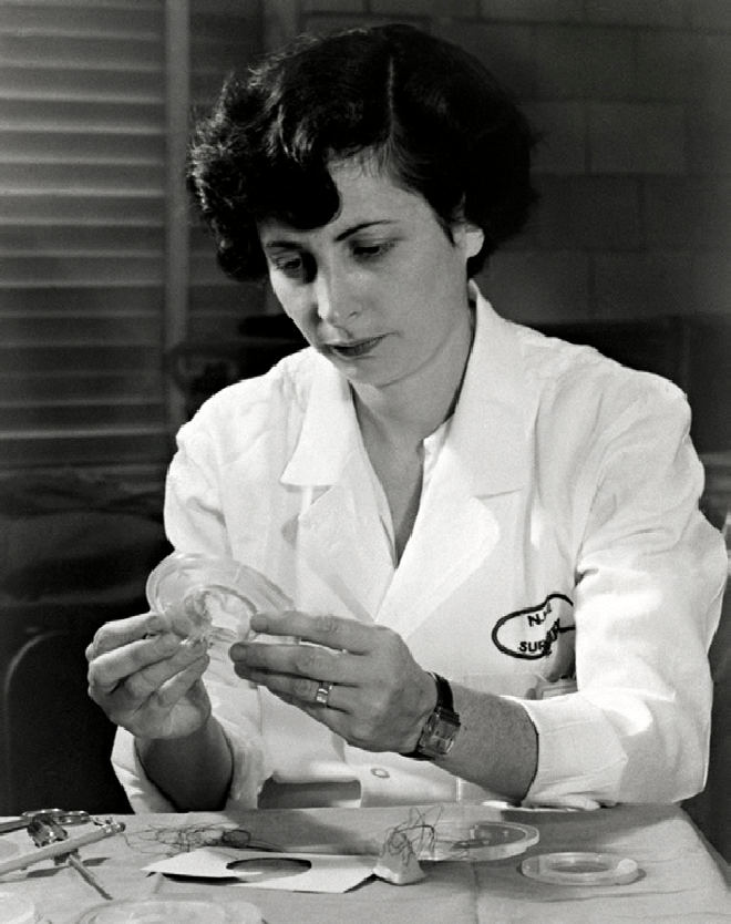 The Thoracic Surgery Foundation (TSF) (@thoracicsurgfnd) on Twitter photo Let us celebrate Dr. Braunwald's remarkable legacy, embodied in the Nina Starr Braunwald Research Award, which has honored extraordinary women surgeon-scientists since 1993. Consider donating today to help further this vital work in Dr. Braunwald's honor: form-renderer-app.donorperfect.io/give/thoracic-… Let us celebrate Dr. Braunwald's remarkable legacy, embodied in the Nina Starr Braunwald Research Award, which has honored extraordinary women surgeon-scientists since 1993. Consider donating today to help further this vital work in Dr. Braunwald's honor: form-renderer-app.donorperfect.io/give/thoracic-…
